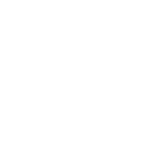 Icon of crossed wrench and screwdriver representing car maintenance and detailing services at Evoke Auto Spa.